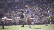 Lsu Football GIF by LSU Tigers