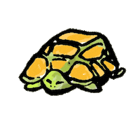 Turtle Mar Sticker by Loto Honduras
