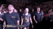 ufc sports sport ufc mma GIF
