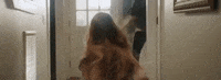 Kameron Marlowe Steady Heart GIF by Kameron Marlowe