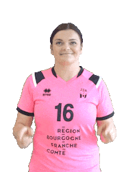 Handball Sticker by JDA Dijon Basket