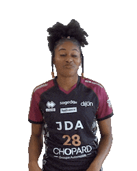 Handball Sticker by JDA Dijon Basket