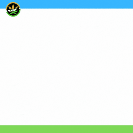 stonerindia giphygifmaker rich stoners stonerindia indian stoner design GIF