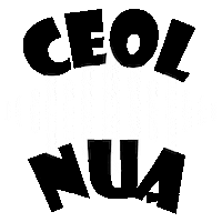 New Music Irish Sticker by RaidioRiRa