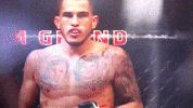 ufc 206 GIF