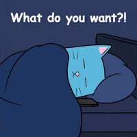 What Do You Want Nopecat GIF