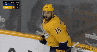 Ice Hockey Hug GIF by NHL