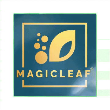 magicleafstevia giphyupload stevia magicleaf magicleaflogo GIF