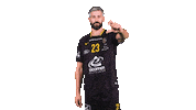Celebration Handball Sticker by Team Chambé