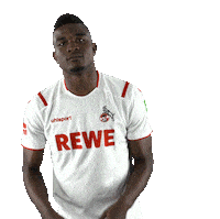 Fc Cologne Bundesliga Sticker by 1. FC Köln