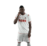 Fc Cologne Bundesliga Sticker by 1. FC Köln