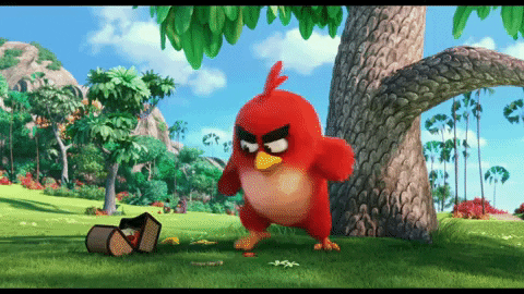 mad fall GIF by Angry Birds