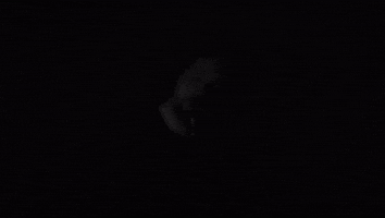Black And White Singing GIF by tensidemusic
