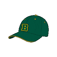 Golden Eagle Hat Sticker by Brockport