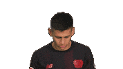 Bayer Leverkusen Sticker by Bundesliga