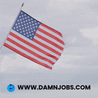 United States Celebration GIF by Damnjobs