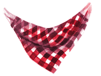 Photography Bandana Sticker by puppytales