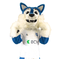 FCLausanneSport dance football wolf suisse Sticker