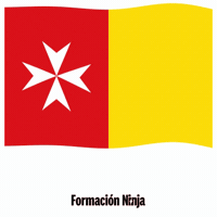 Castilla-La Mancha Bandera GIF by Formación Ninja