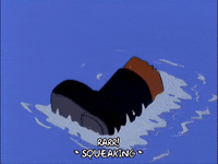 episode 1 dolphins GIF