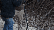 Hammer Stake GIF by JC Property Professionals