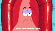 season 9 gary's new toy GIF by SpongeBob SquarePants