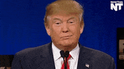 donald trump lol GIF by NowThis 