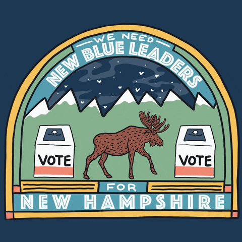 Illustrated gif. Quaint mountainscape scene on a teal background, checkmarks in the sky, a moose between two ballot boxes. Text, "We need new blue leaders for New Hampshire, vote."
