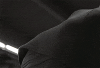 man fitness GIF by Gymshark