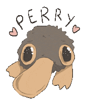 Perry Sticker