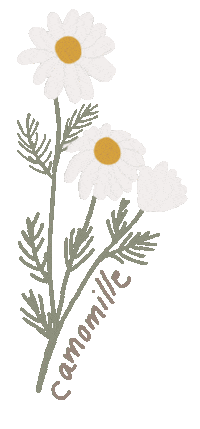 Flowers Tea Sticker