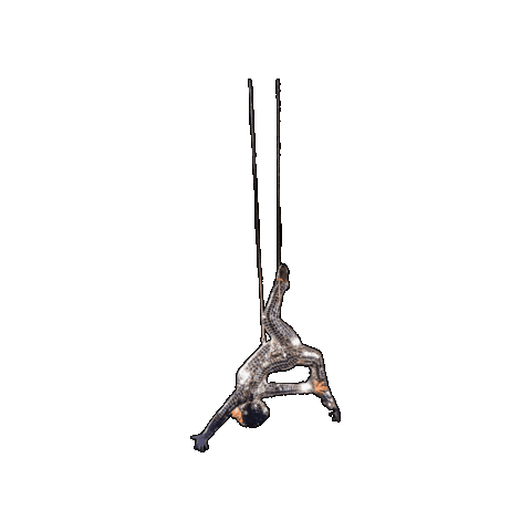 Sparkle Acrobatics Sticker by Ringling Bros. and Barnum & Bailey