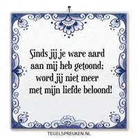 Troost Reflectie GIF by Tegelspreuken.nl
