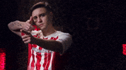 Cs2 Lnz GIF by BLAST