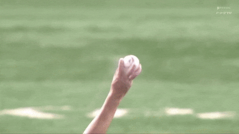 brandontew giphyupload GIF