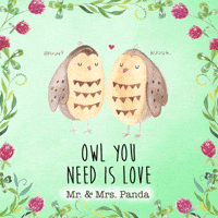 All You Need Is Love Owl GIF by Mr. & Mrs. Panda