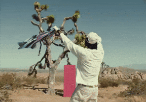 Pool Party Dancing GIF by DC The Don