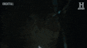 historyuk surprise history secret hide and seek GIF