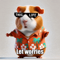 Peace Wisdom GIF by Guinea Gambino