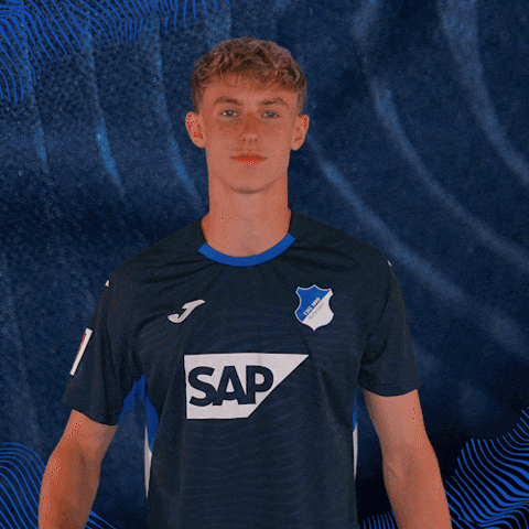 Sport Bundesliga GIF by TSG Hoffenheim