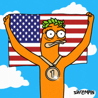 United States Usa GIF by shremps