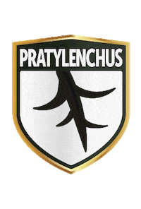 Praty Sticker by FT SEMENTES