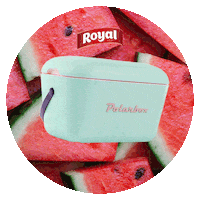 Color Verde Sticker by Royal