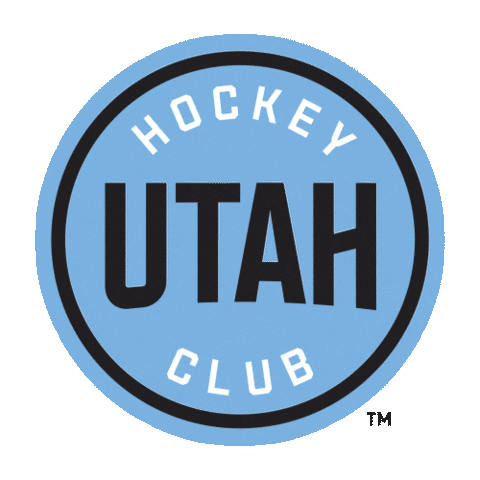 Happy Ice Hockey Sticker by NHL
