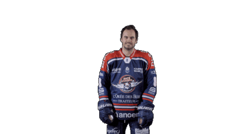 Ducs Dangers Hockey Sticker by Les Ducs d'Angers