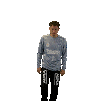 Handball Lemgo Sticker by DAIKIN HBL