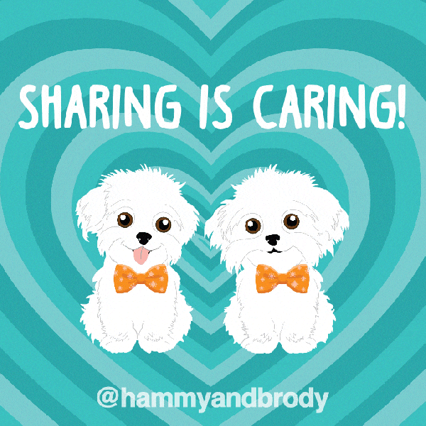 Dogs Share GIF by HammyandBrody