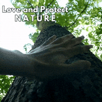 Tree Removal Service GIF by Oi