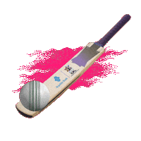 Cricket Rbl Sticker by Republic Bank