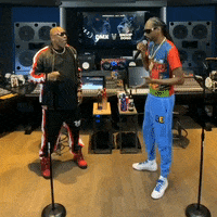 Snoop Dogg GIF by Verzuz